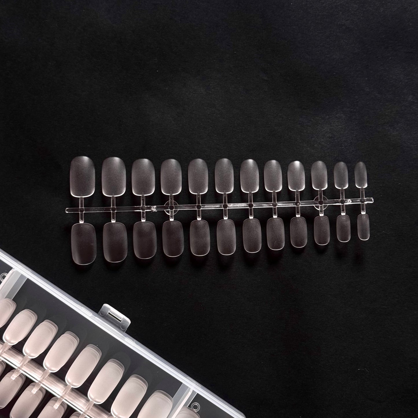 Medium round (clear and fully buffed) C3