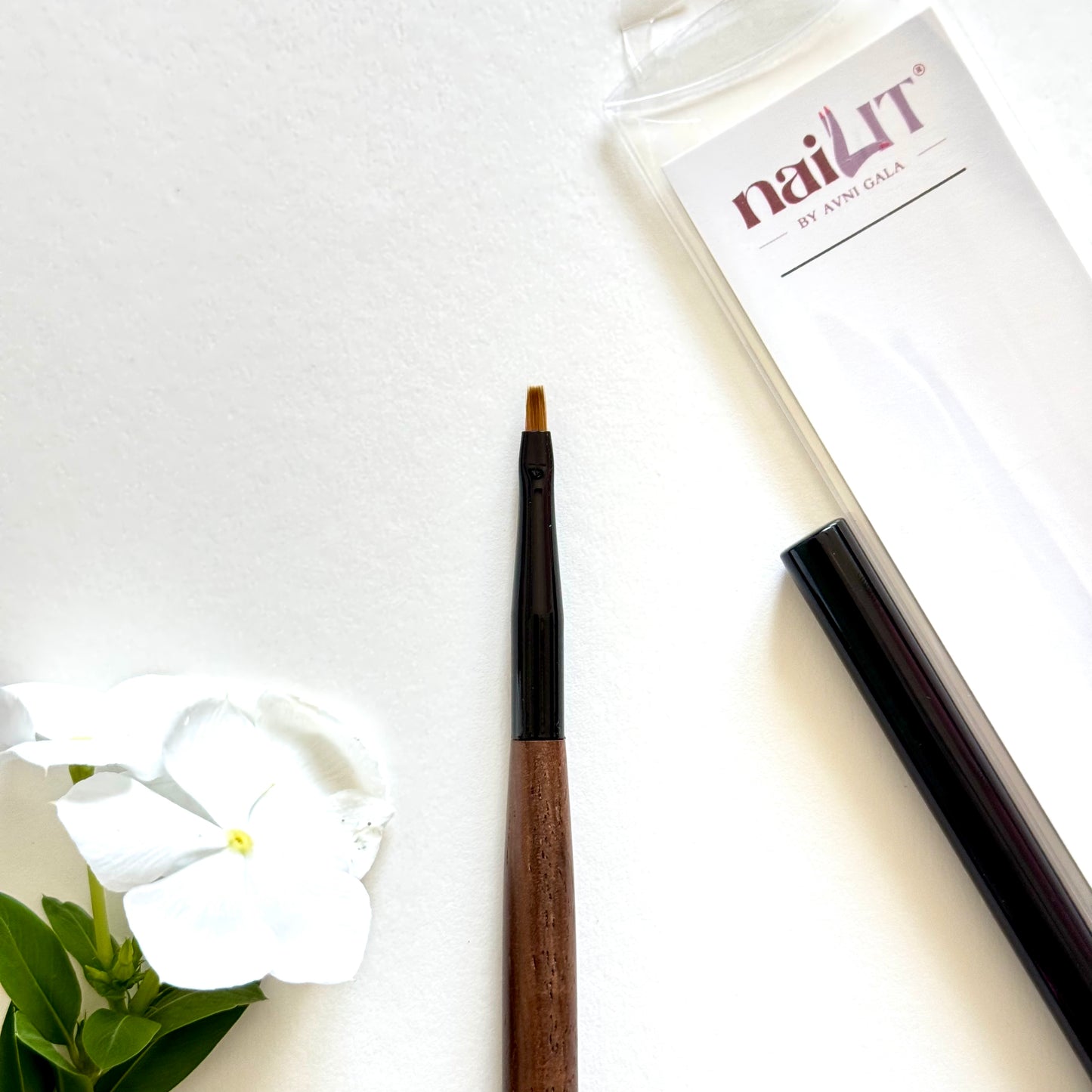Art Brush 2