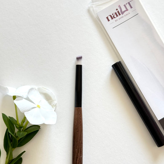 Round Ombre Brush