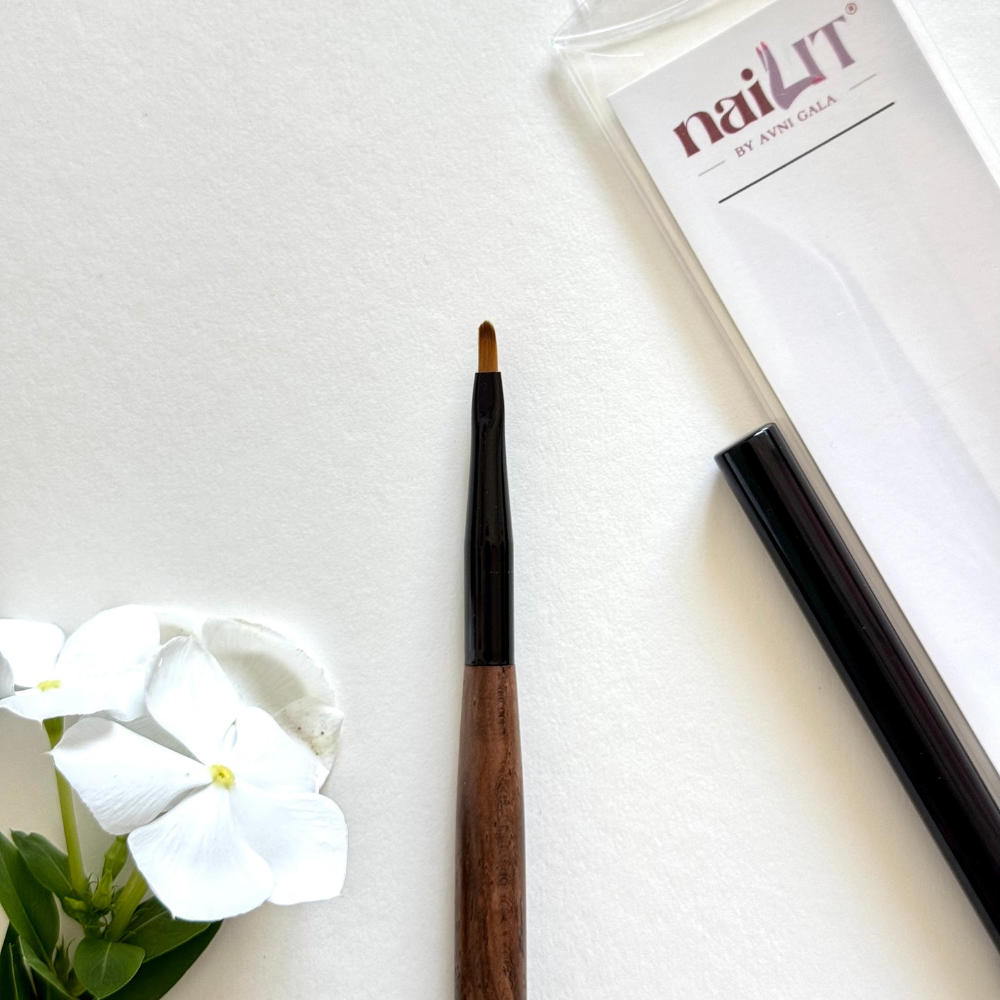 Art Brush 1