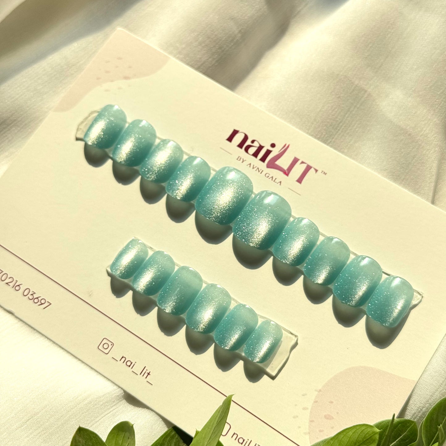 Coastal Cateye (NL07)